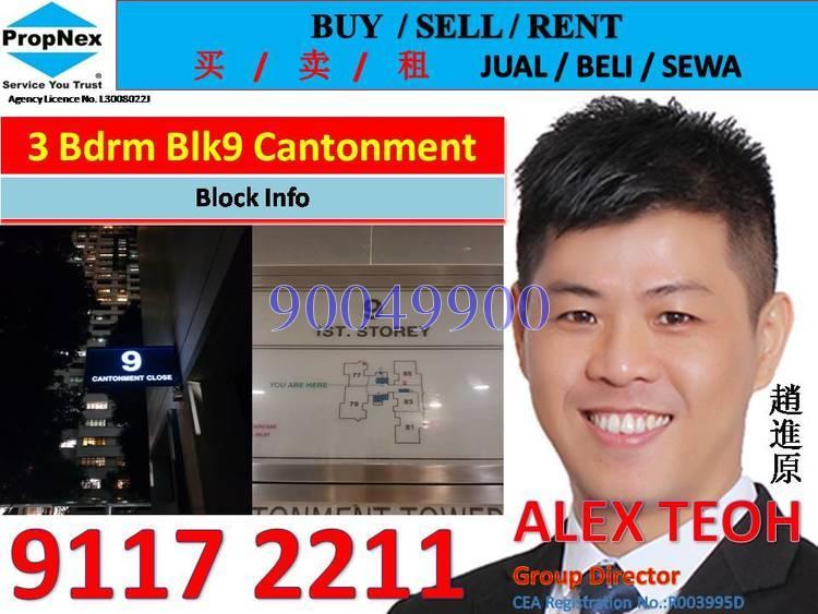 Blk 9 Cantonment Close (Bukit Merah), HDB 4 Rooms #163571062